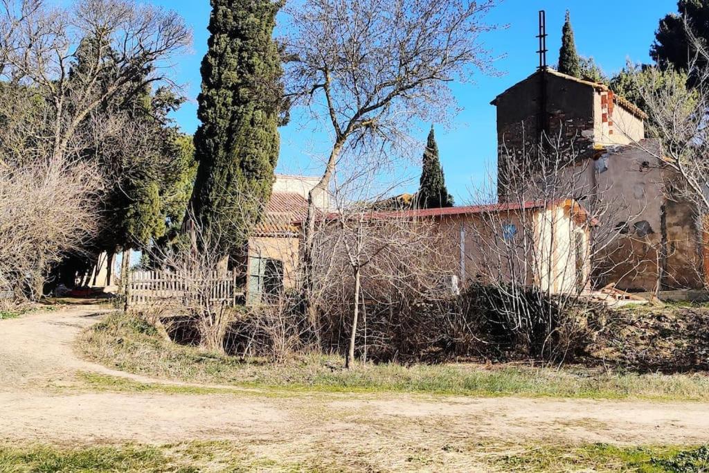 Au Coeur De La Nature Coursan Dış mekan fotoğraf